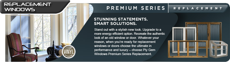 Best Replacement Windows